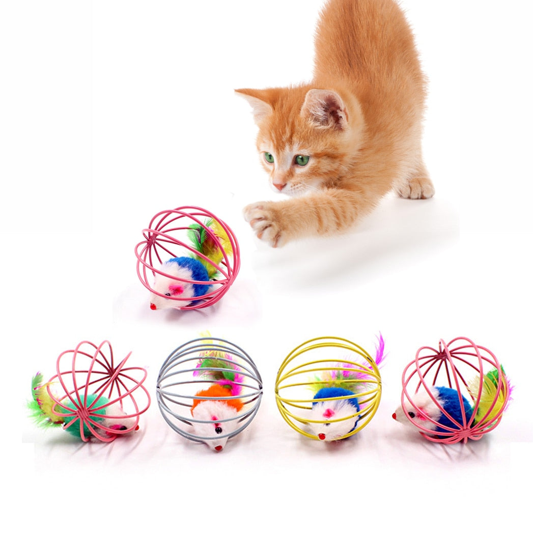 Colorful Cat Teaser Toy