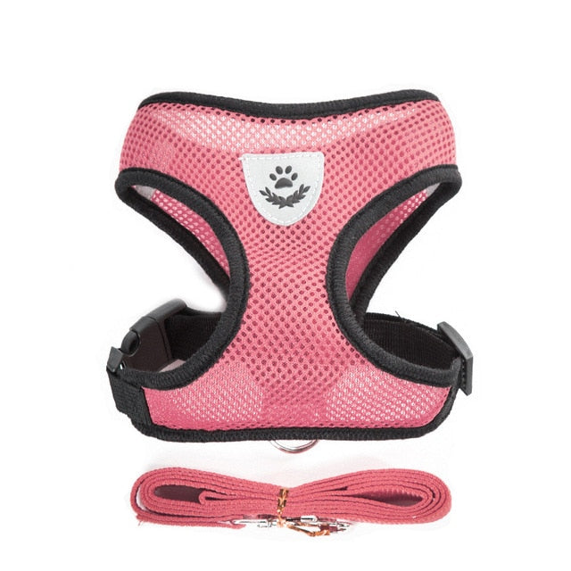 Breathable Dog Harness and Leash
