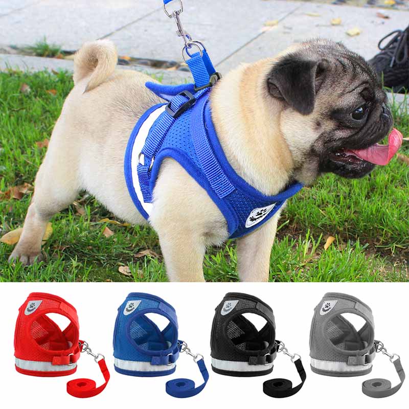 Dog Harness Leash Vest for Chihuahua