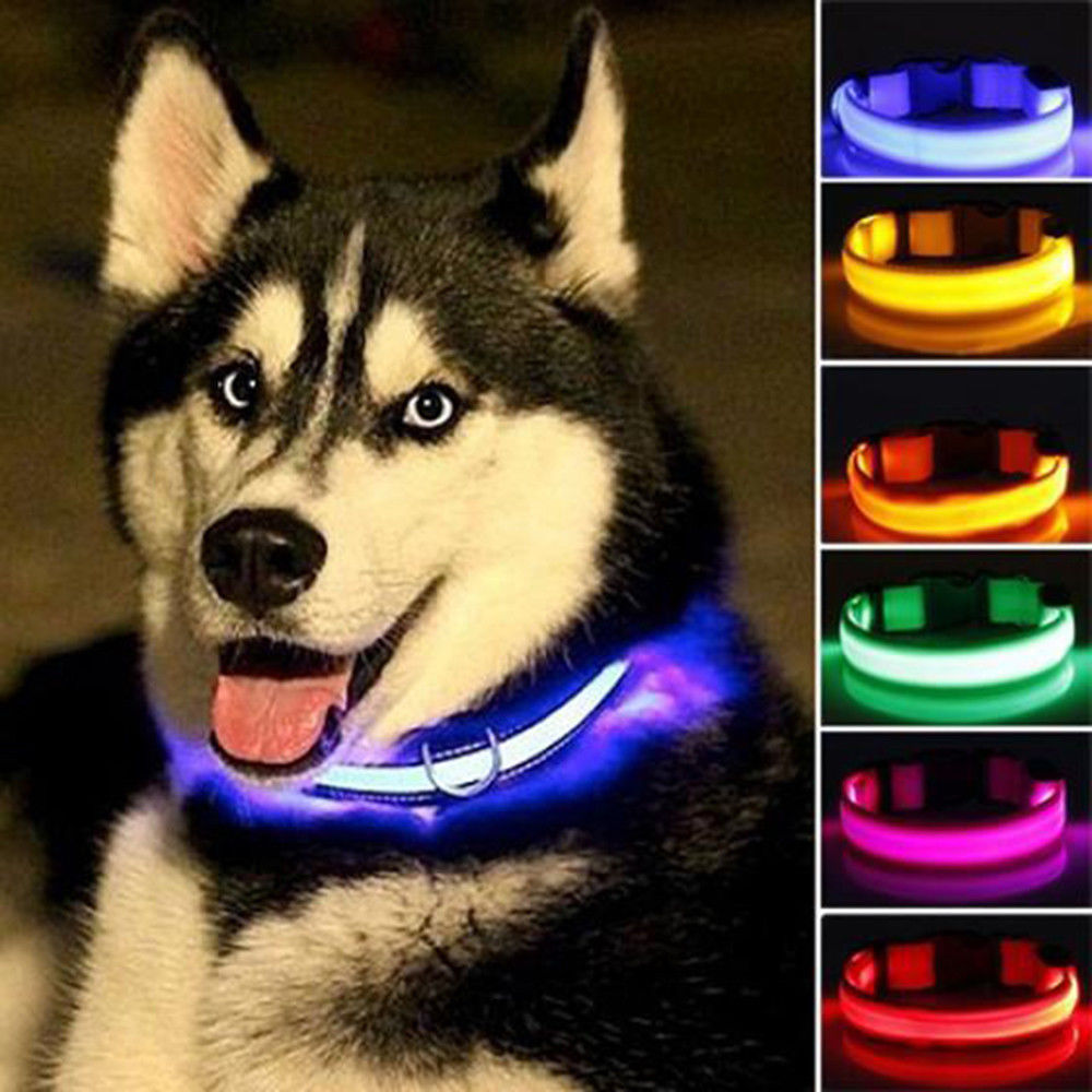 Nylon LED Pet Night Safety Collar