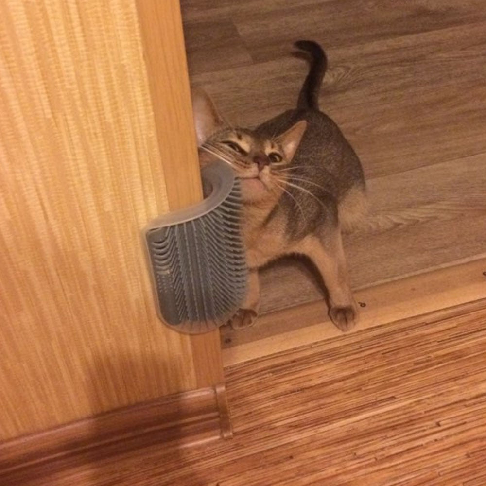 Cat Corner Scratching Rubbing Brush