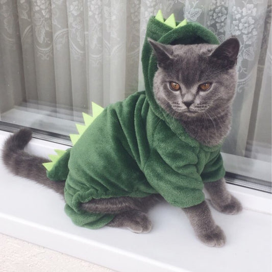 Funny Dinosaur Design Cat Costume